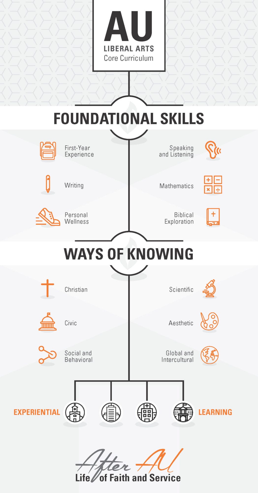 Liberal Arts Curriculum Infographic
